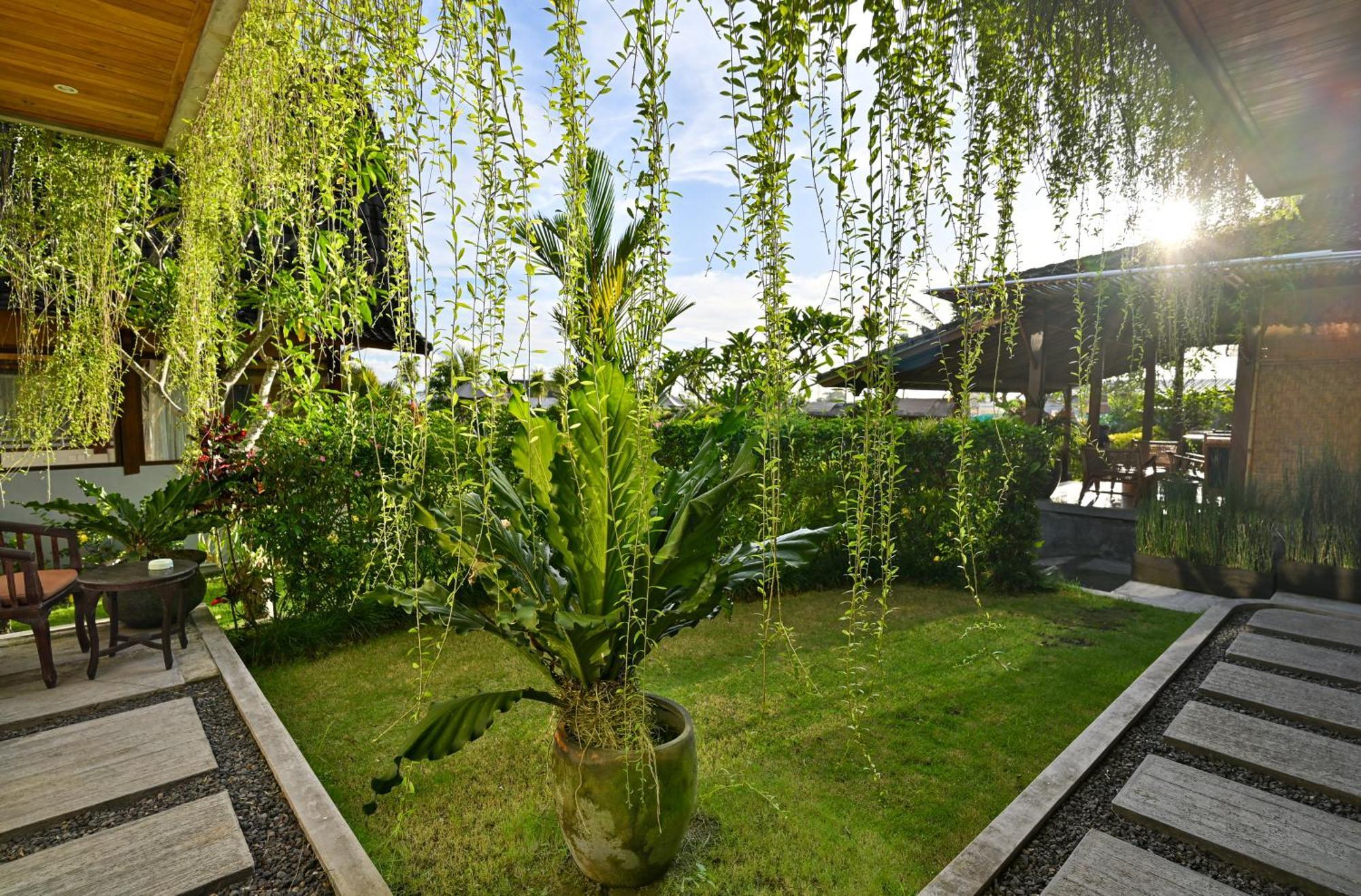 Canggu Wooden Green Paradise Room photo